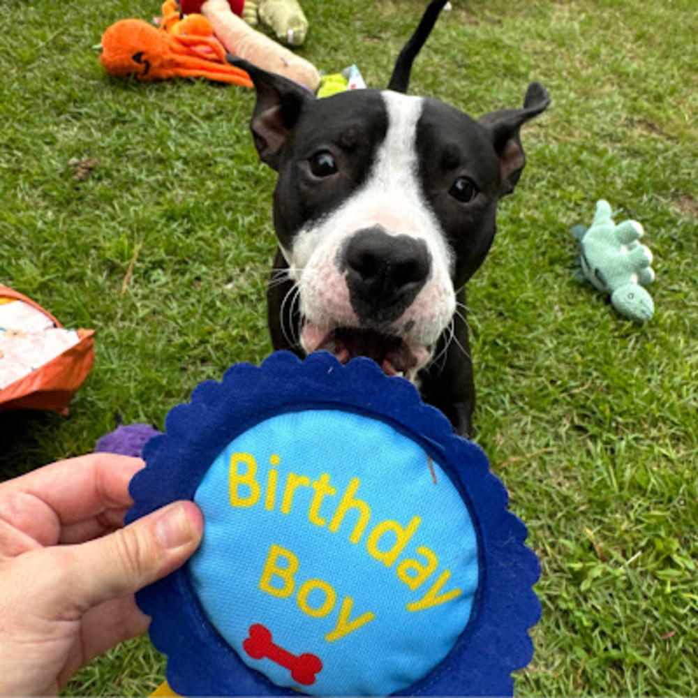 Meet your Posher, Cecilee